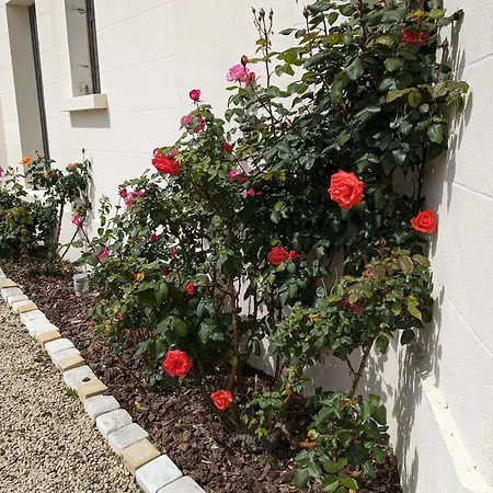 Les Jolis Nids - Perroquet Apartment
