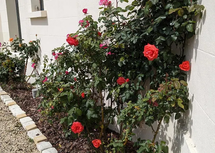 Les Jolis Nids - Perroquet Apartamento