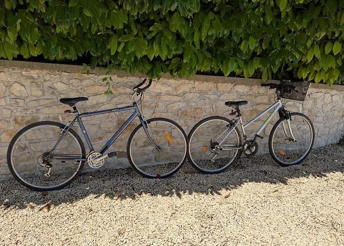 Les Jolis Nids - Perroquet